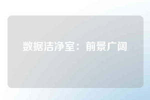 數據潔凈室:前景廣闊